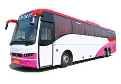 55 SEATER NON AC BUS